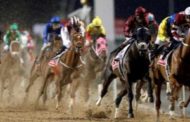 سباقات الخيول في دول الخليج
