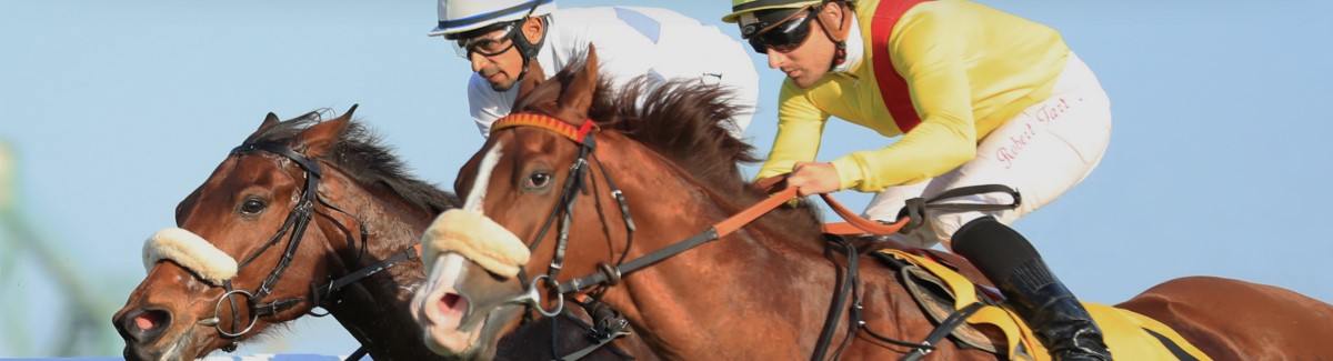 Horse Racing In Bahrain
