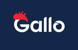 Gallo Casino كازينو